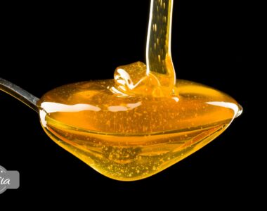 mierea de albine și digestia